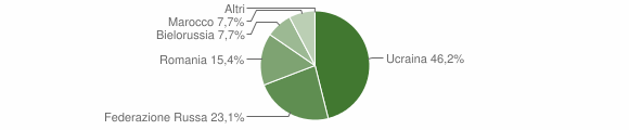 Grafico cittadinanza stranieri - Forchia 2010