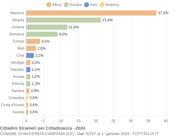 Grafico cittadinanza stranieri - Macerata Campania 2024