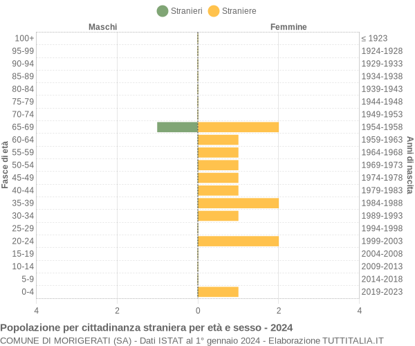 Grafico cittadini stranieri - Morigerati 2024