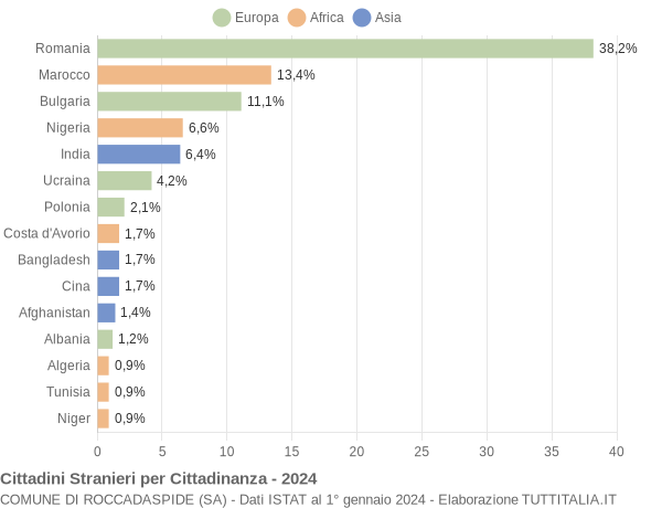 Grafico cittadinanza stranieri - Roccadaspide 2024