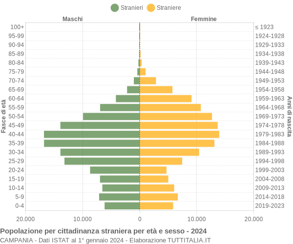 Grafico cittadini stranieri - 2024