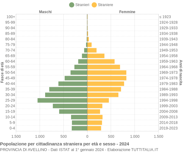 Grafico cittadini stranieri - 2024