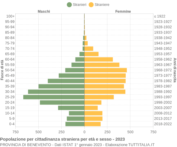 Grafico cittadini stranieri - 2023