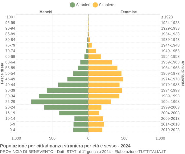 Grafico cittadini stranieri - 2024