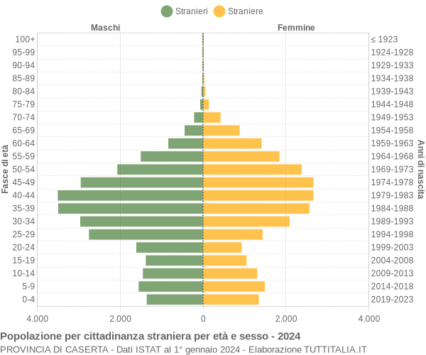 Grafico cittadini stranieri - 2024