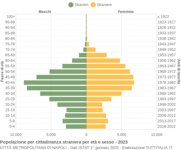 Grafico cittadini stranieri - 2023