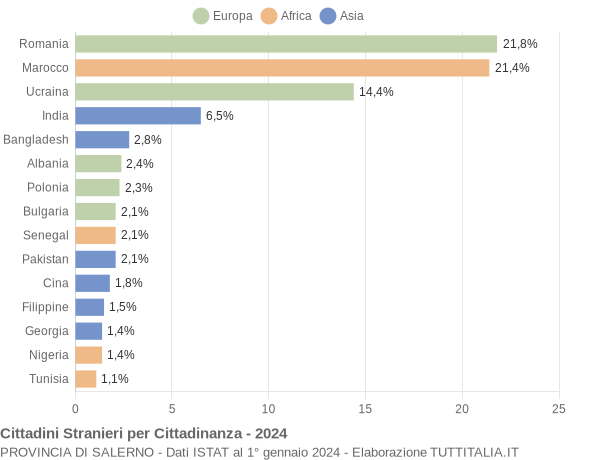 Grafico cittadinanza stranieri - 2024