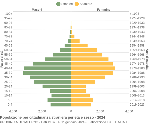 Grafico cittadini stranieri - 2024