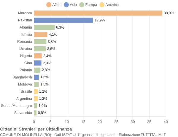 Grafico cittadinanza stranieri - Molinella 2005