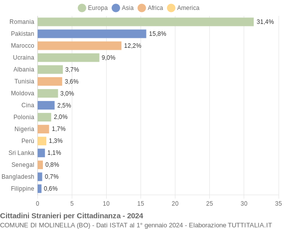 Grafico cittadinanza stranieri - Molinella 2024