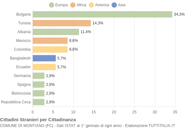 Grafico cittadinanza stranieri - Montiano 2004