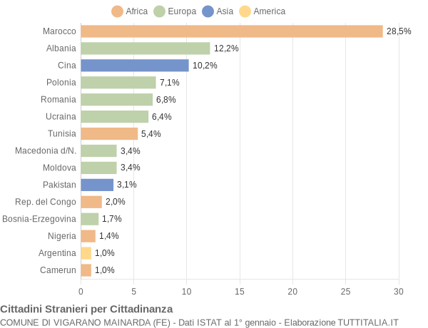 Grafico cittadinanza stranieri - Vigarano Mainarda 2008