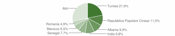 Grafico cittadinanza stranieri - Colorno 2007