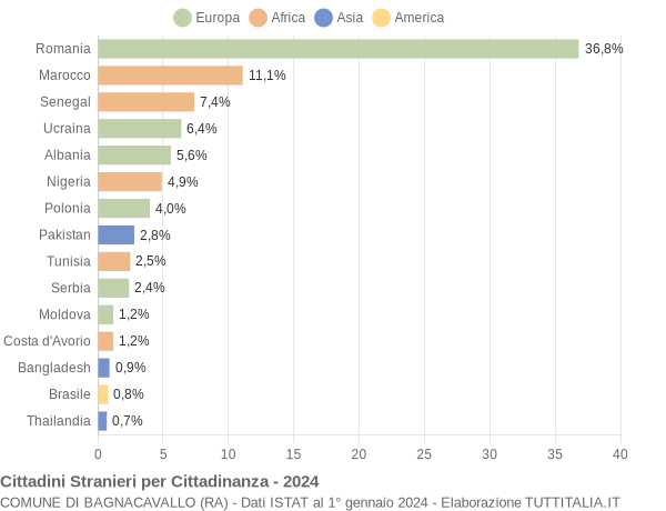 Grafico cittadinanza stranieri - Bagnacavallo 2024