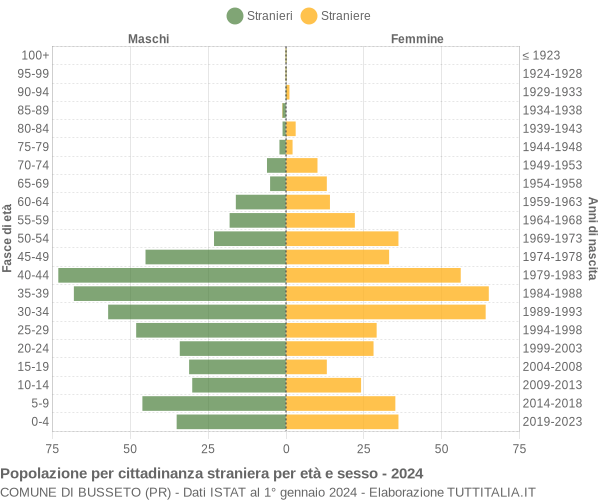 Grafico cittadini stranieri - Busseto 2024