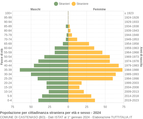 Grafico cittadini stranieri - Castenaso 2024