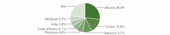 Grafico cittadinanza stranieri - San Secondo Parmense 2007