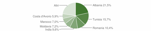Grafico cittadinanza stranieri - San Secondo Parmense 2010