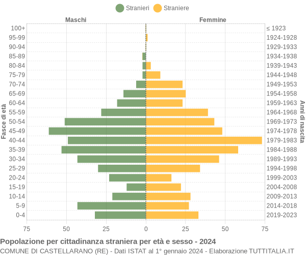 Grafico cittadini stranieri - Castellarano 2024