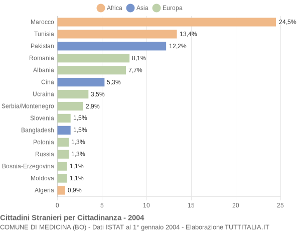 Grafico cittadinanza stranieri - Medicina 2004