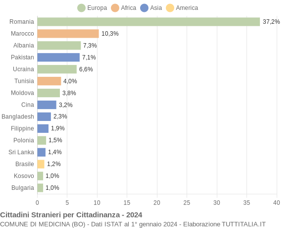 Grafico cittadinanza stranieri - Medicina 2024