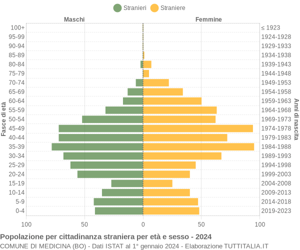 Grafico cittadini stranieri - Medicina 2024