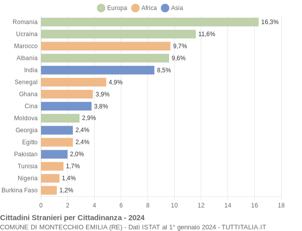 Grafico cittadinanza stranieri - Montecchio Emilia 2024