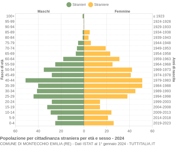 Grafico cittadini stranieri - Montecchio Emilia 2024