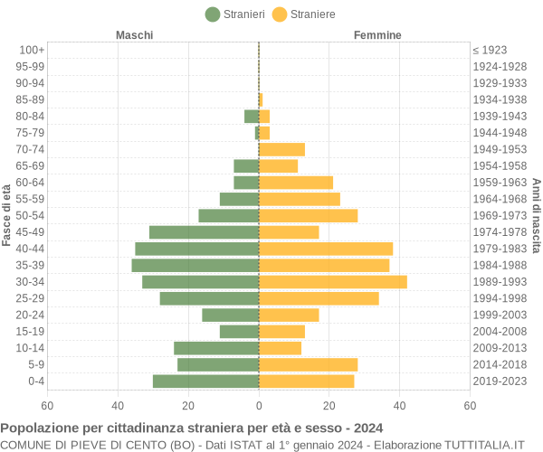 Grafico cittadini stranieri - Pieve di Cento 2024