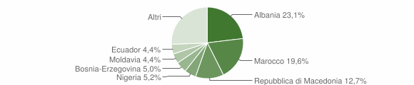 Grafico cittadinanza stranieri - Pontenure 2010