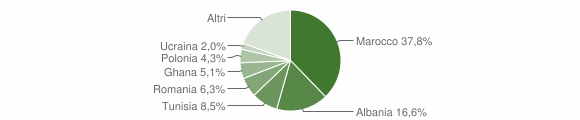 Grafico cittadinanza stranieri - Casalgrande 2008