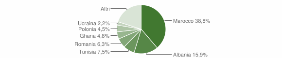 Grafico cittadinanza stranieri - Casalgrande 2009