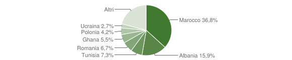 Grafico cittadinanza stranieri - Casalgrande 2013