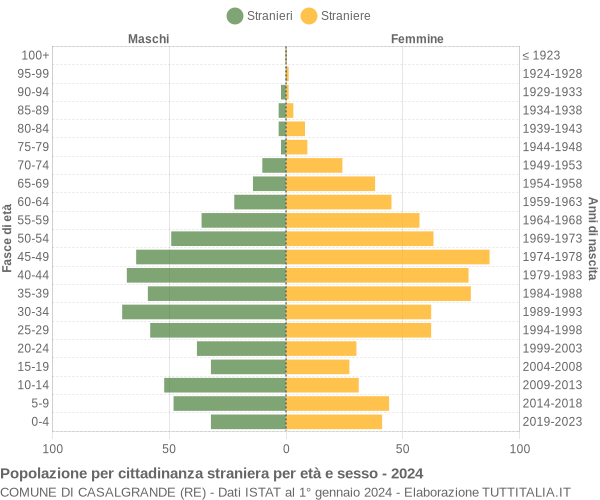 Grafico cittadini stranieri - Casalgrande 2024