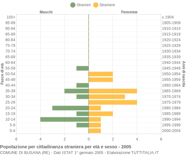 Grafico cittadini stranieri - Busana 2005