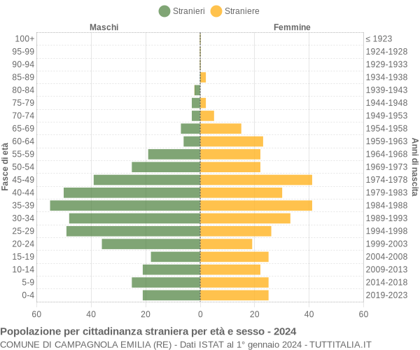 Grafico cittadini stranieri - Campagnola Emilia 2024