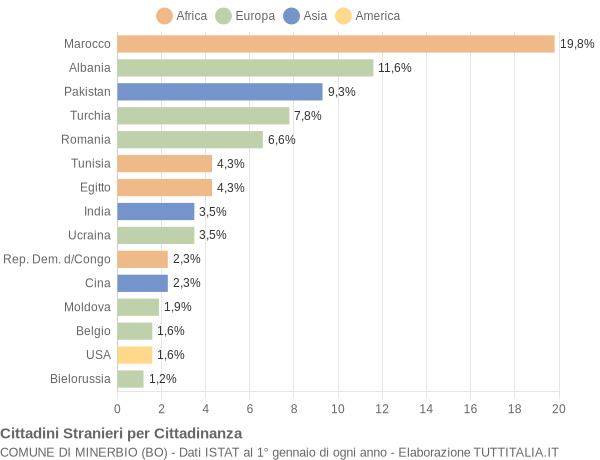 Grafico cittadinanza stranieri - Minerbio 2004