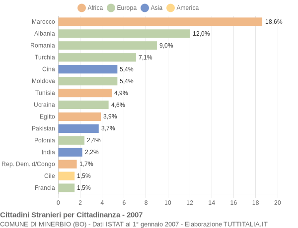 Grafico cittadinanza stranieri - Minerbio 2007