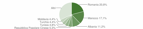 Grafico cittadinanza stranieri - Minerbio 2008