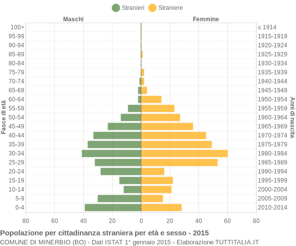 Grafico cittadini stranieri - Minerbio 2015