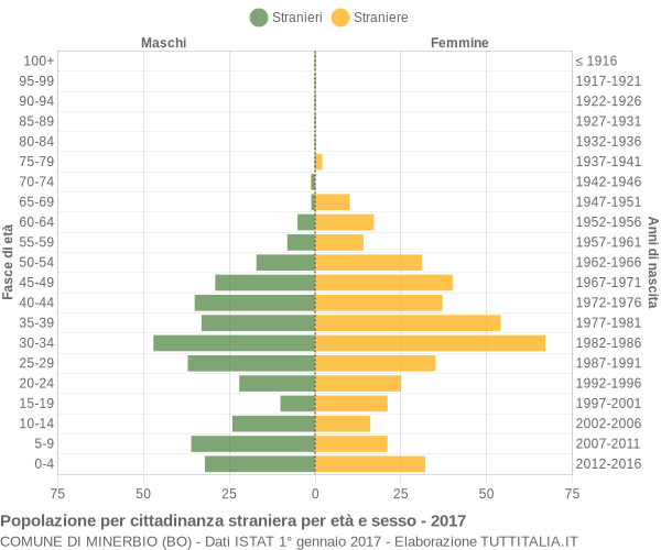 Grafico cittadini stranieri - Minerbio 2017