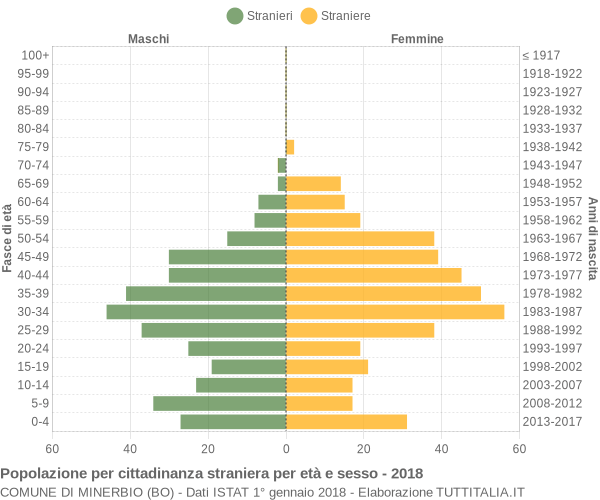 Grafico cittadini stranieri - Minerbio 2018