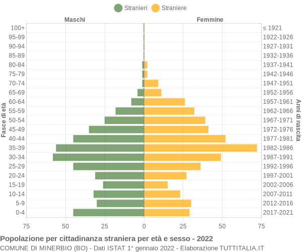 Grafico cittadini stranieri - Minerbio 2022