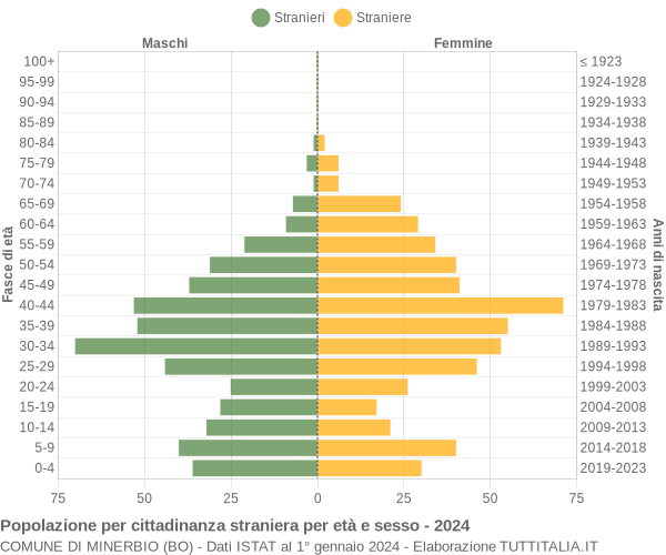 Grafico cittadini stranieri - Minerbio 2024