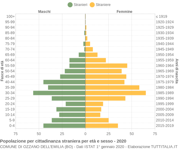 Grafico cittadini stranieri - Ozzano dell'Emilia 2020