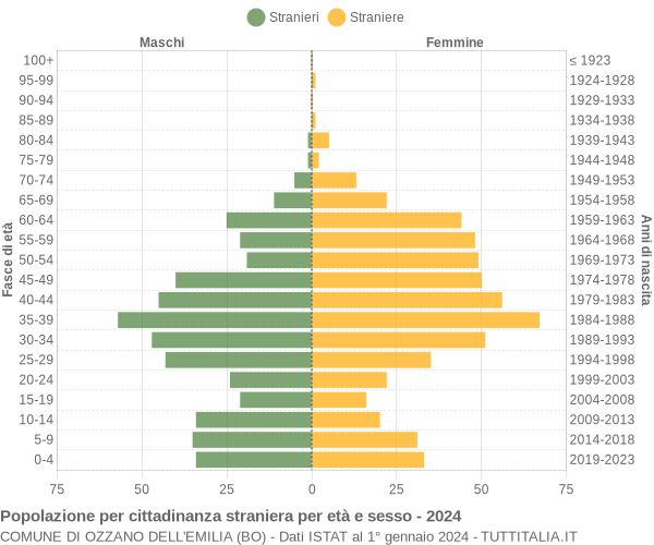 Grafico cittadini stranieri - Ozzano dell'Emilia 2024