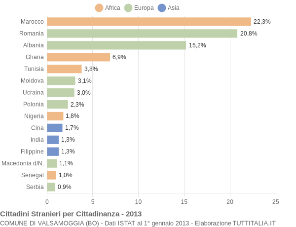 Grafico cittadinanza stranieri - Valsamoggia 2013