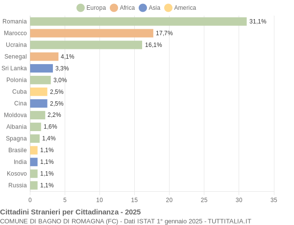 Grafico cittadinanza stranieri - Bagno di Romagna 2025