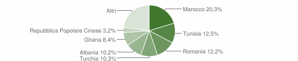 Grafico cittadinanza stranieri - Bomporto 2011
