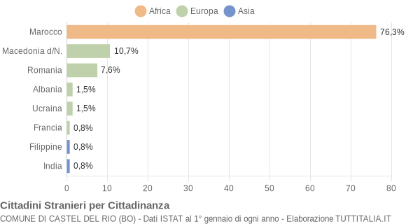 Grafico cittadinanza stranieri - Castel del Rio 2005